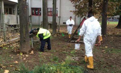 Detenuti al lavoro all'asilo Folletti e vicino al Cim
