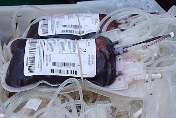 Donazioni di sangue in aumento a Novara