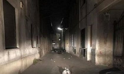 Galliate: sacchi dell'immondizia presi a calci e sparsi nelle strade
