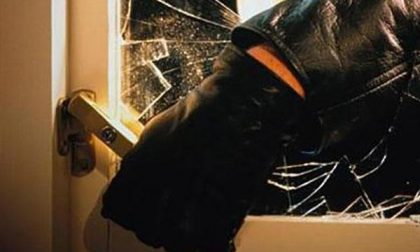 Ladri in azione in un bar
