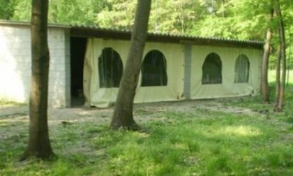 Misteriosi furti di mici, ma anche di cibo e prodotti vari al gattile
