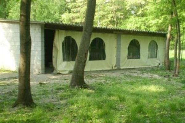 Misteriosi furti di mici, ma anche di cibo e prodotti vari al gattile