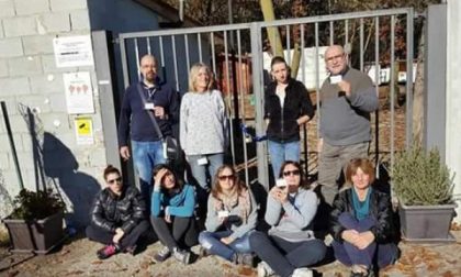 Petizione per il gattile di Borgomanero