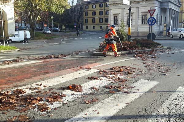Più di 25.000 kg di foglie raccolti dall’Assa