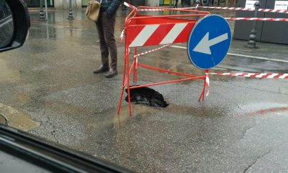 Cede la strada all'incrocio fra Baluardo Quintino Sella e corso Italia