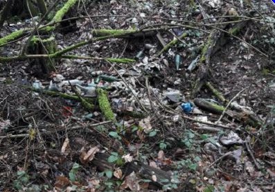 Parco dei lagoni abbandonato: rifiuti dappertutto