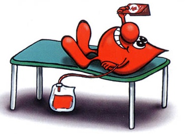 Donazione di sangue: piemontesi campioni di generosità