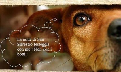 Botti di Capodanno: i consigli di Anpana per tutelare gli animali
