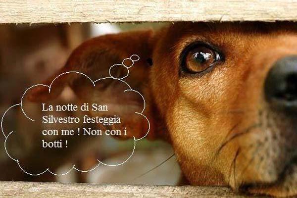 Botti di Capodanno: i consigli di Anpana per tutelare gli animali