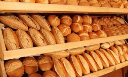 Così le scuole novaresi dicono no allo spreco alimentare
