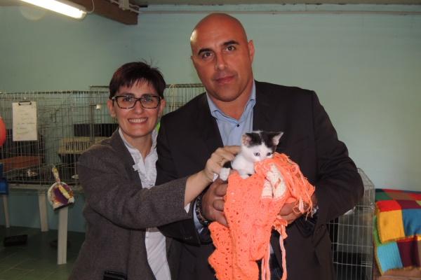E’ ufficiale: la gestione del gattile resta agli “Amici dei gatti”