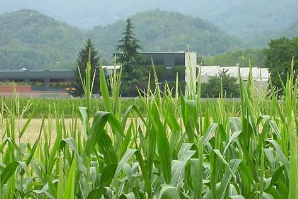 La Cavanna Spa di Prato Sesia inaugura un nuovo capannone