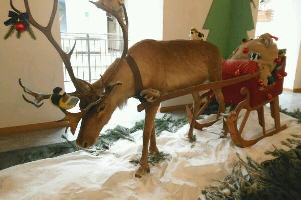 Ingresso gratuito nei musei alla domenica: ecco quali sono nella nostra provincia