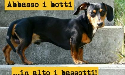 Legambiente sui botti di Capodanno: “ora le ordinanze siano fatte rispettare"
