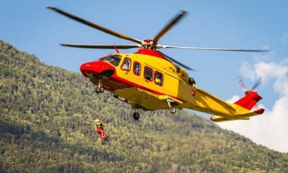 Muore schiacciato da un albero