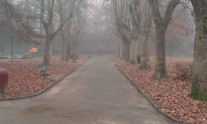 Raccolta foglie: “cantieristi” Assa al lavoro in città