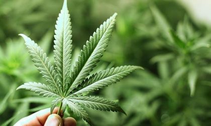 Traffico di droga e armi: blitz tra Novara e la Calabria