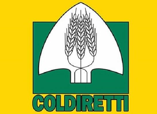 23 Comuni dell’Alto Novarese nel nuovo Igp della carne