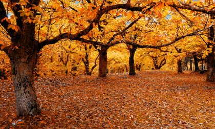 L’estate sta finendo: ultimi giorni di sole e caldo poi dovrebbe arrivare l'autunno vero