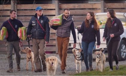 Consegnati i pasti per gli animali dei rifugi Enpa in Piemonte