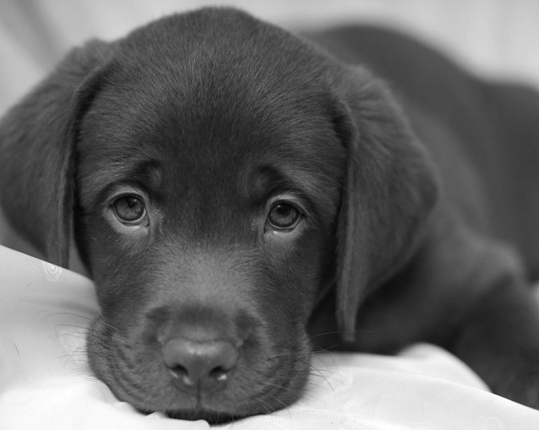 Oggi è il “Blue monday”, il giorno più triste dell’anno