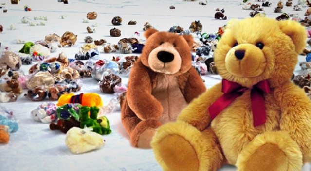 Oleggio Magic Basket: durante la partita una “pioggia” di peluche per i bimbi di Casa Alessia