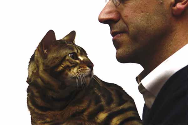 A Novara l’Esposizione internazionale felina (FOTOGALLERY)