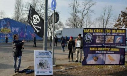 Animalisti, presidio di protesta contro il circo
