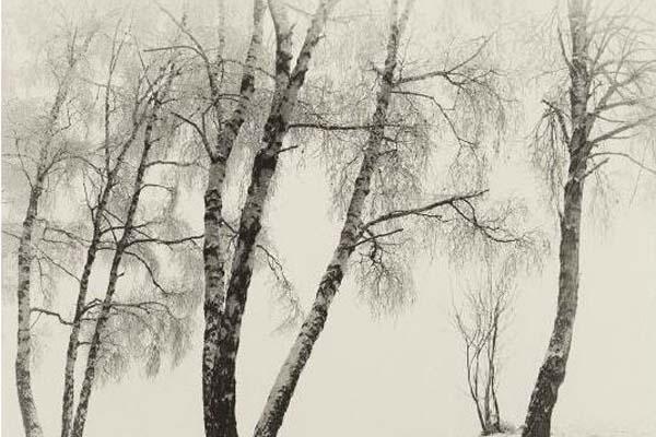 La Merla 2017 non avrà  bisogno di rifugiarsi nei comignoli