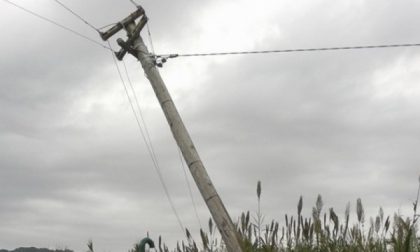 Cede palo della luce e gli sfonda l'auto