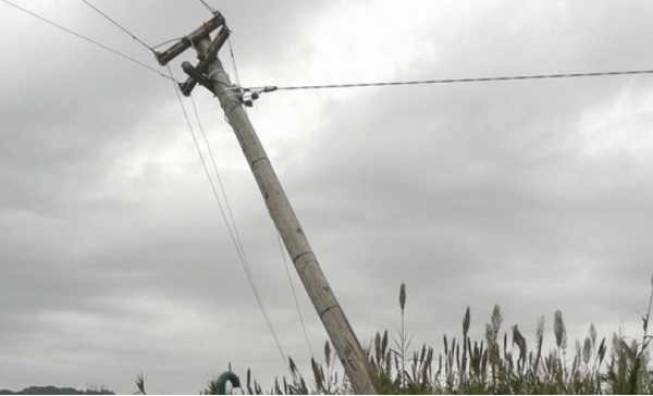 Cede palo della luce e gli sfonda l’auto