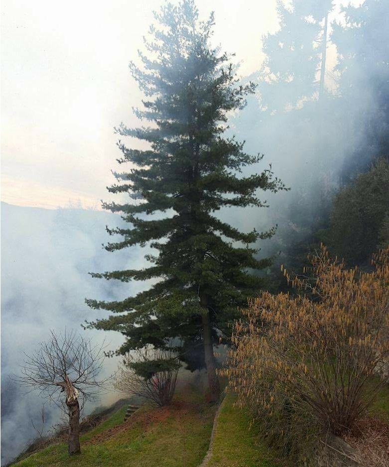 Incendi boschivi divampano a Gattico e nell’Alto Vergante