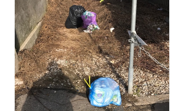 Pizzicato mentre abbandona i sacchi: scatta la  multa