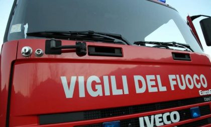 Verbania: a fuoco l'antico canforo in piazza