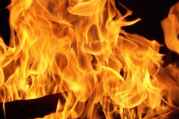 Fiamme nei boschi di Lesa