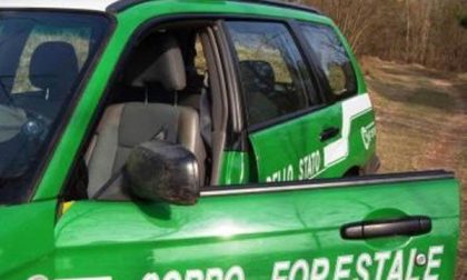 Inchiesta sul Maggiora Park, perquisizioni a Novara, Biella e Vercelli