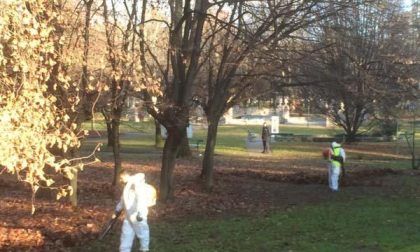 Raccolta delle foglie al Parco dei bambini