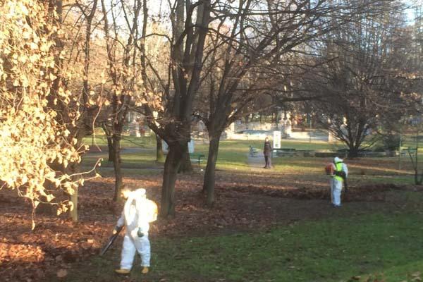 Raccolta delle foglie al Parco dei bambini