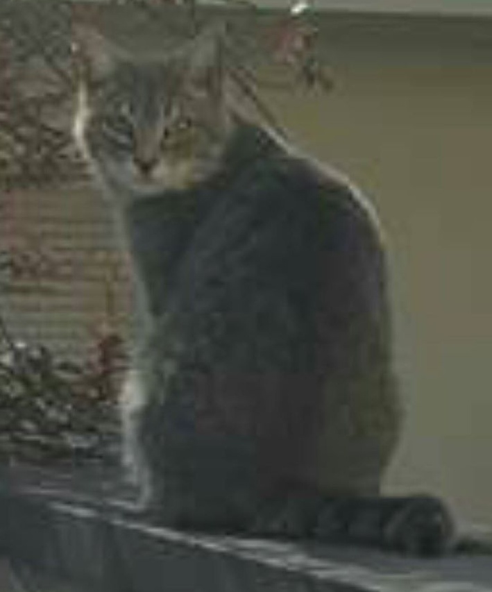 Giorni d’ansia per la piccola Matilde