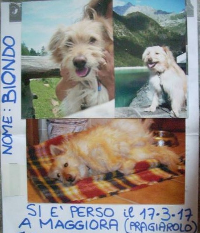Il piccolo Biondo è stato trovato morto nei boschi