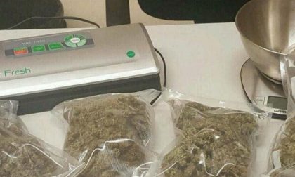 Carabinieri di Novara arrestano un pusher e sequestrano mezzo chilo di marijuana