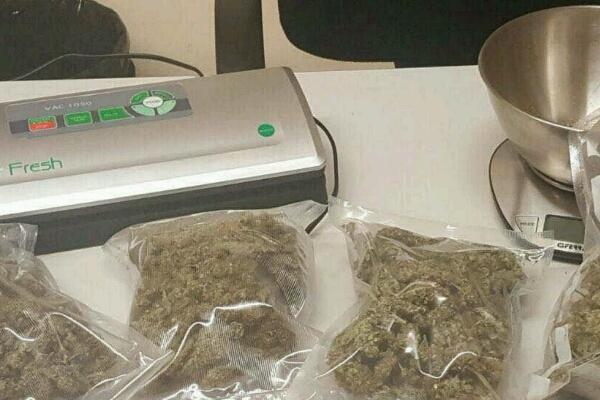 Carabinieri di Novara arrestano un pusher e sequestrano mezzo chilo di marijuana