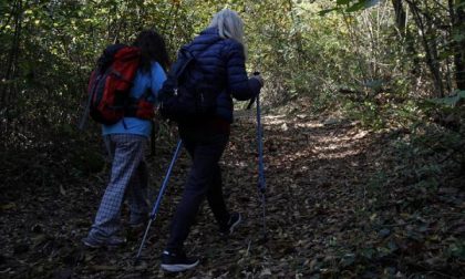 Idee cercasi per il territorio