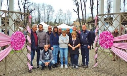 Mercatino e auto storiche: così l'ultimo fine settimana in rosa di Borgomanero (fotogallery)