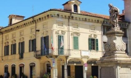 Troppi furti di fiori, il sindaco di Borgomanero denuncia