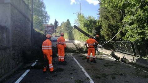 Arona: albero cade su un’auto parcheggiata