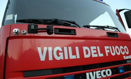 Gattico: tagliato albero sulla circonvallazione