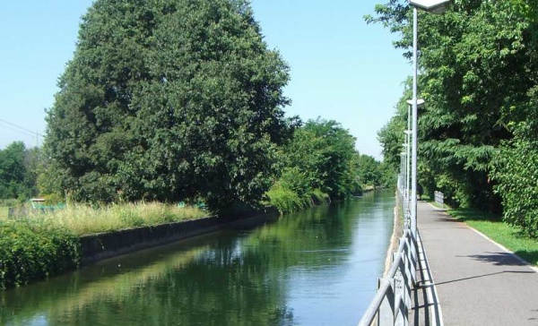 Getta il cane nel canale, salvato da un giardiniere