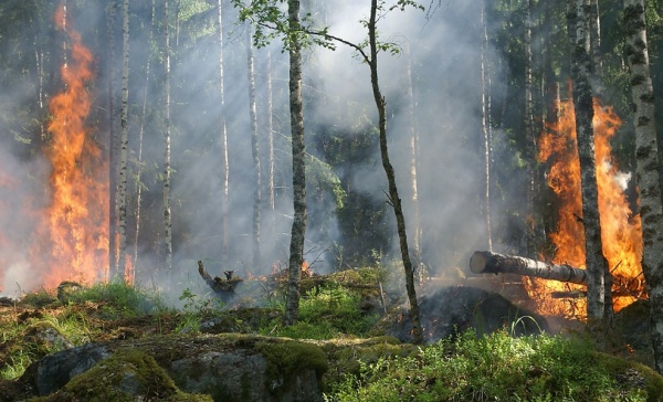 Incendi boschivi: revocato lo stato di pericolosità