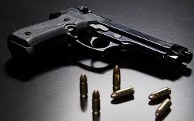 Omicidio di Pombia: i carabinieri sono alla ricerca dell'arma del delitto